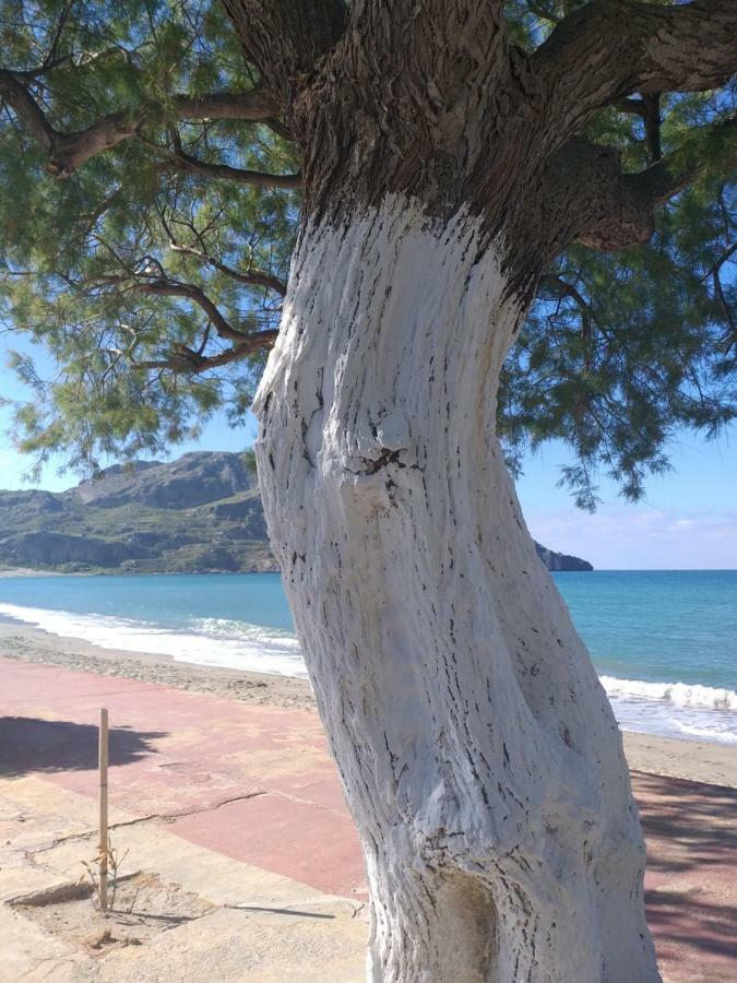 Greek Blue Apartment Plakias Exterior foto